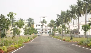 130A3772-2-300x176-1