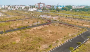 130A3772-4-300x176-1