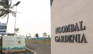 130A3772-6-5-300x176-1