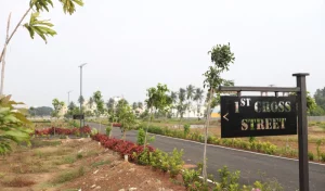 130A3772-6-6-300x176-1